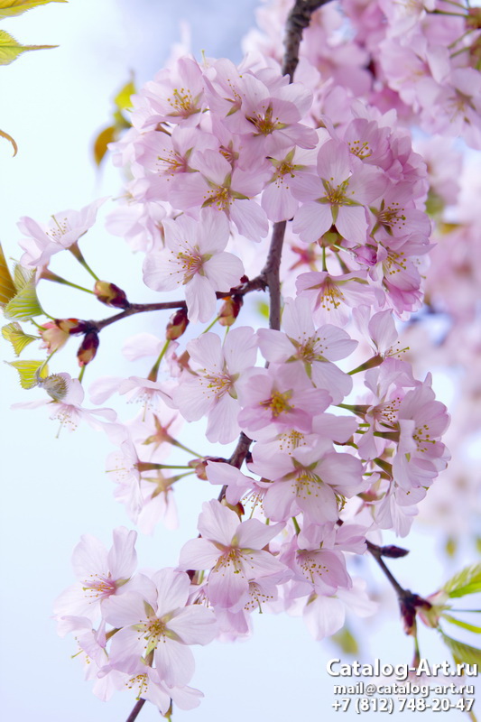 Blossom tree 5